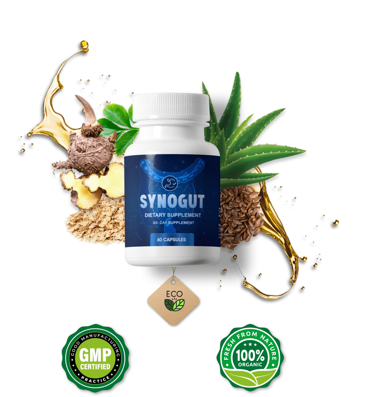 Synogut - Digestive Support